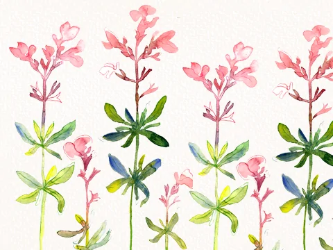 Loose watercolour florals workshop example